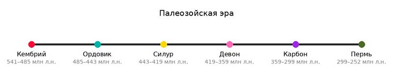 Палеозойская эра: кембрийский взрыв, развитие морской фауны и выход позвоночных на сушу