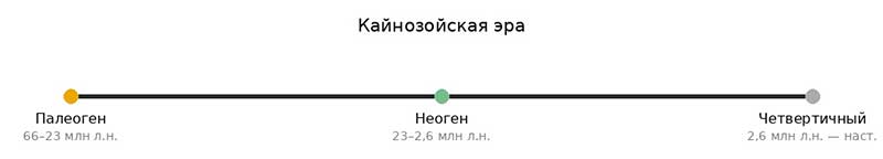 Кайнозойская эра: эволюция млекопитающих и развитие предков человека — антропогенез